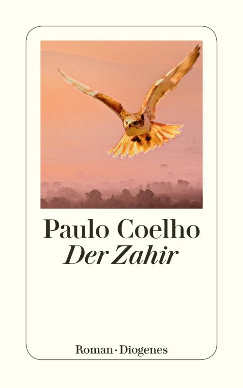 Cover-Bild Der Zahir
