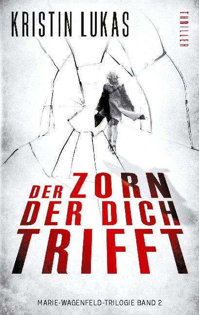 Cover-Bild Der Zorn, der dich trifft