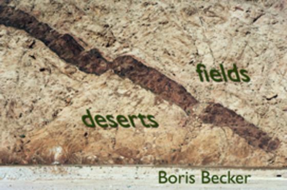 Cover-Bild deserts and fields