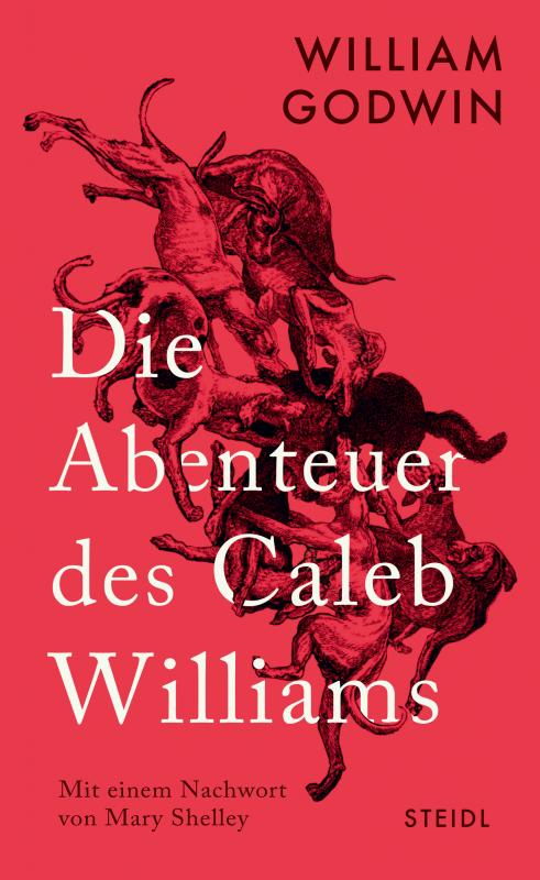 Cover-Bild Die Abenteuer des Caleb Williams