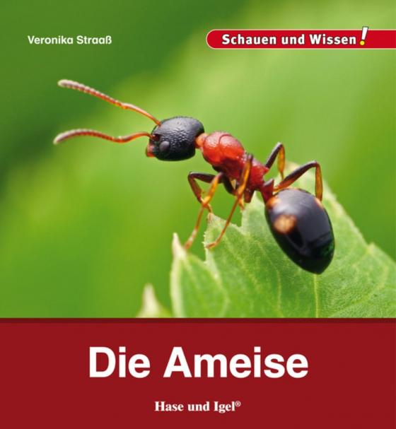 Cover-Bild Die Ameise