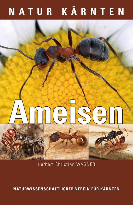 Cover-Bild Die Ameisen Kärntens