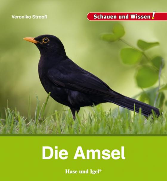Cover-Bild Die Amsel