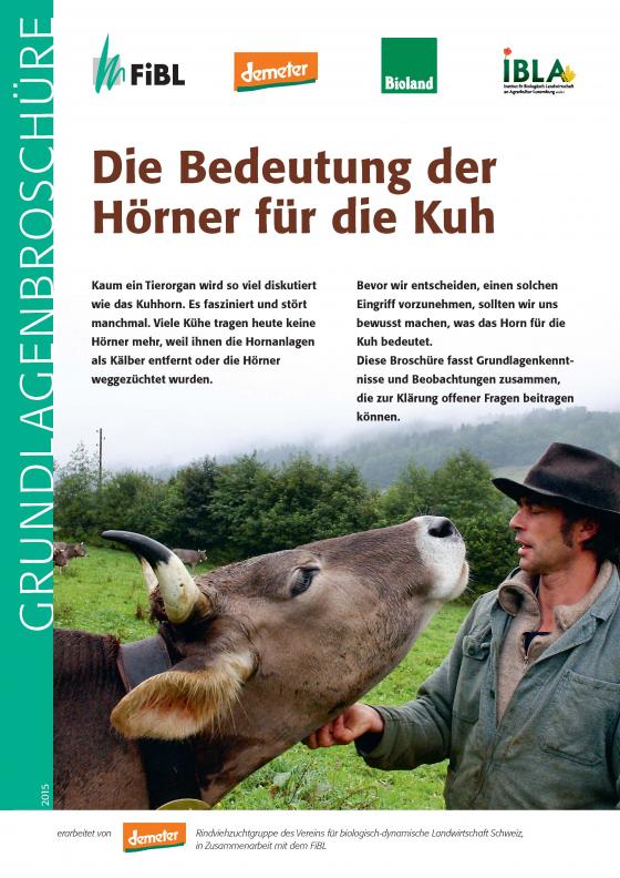 Cover-Bild Die Bedeutung der Hörner für die Kuh