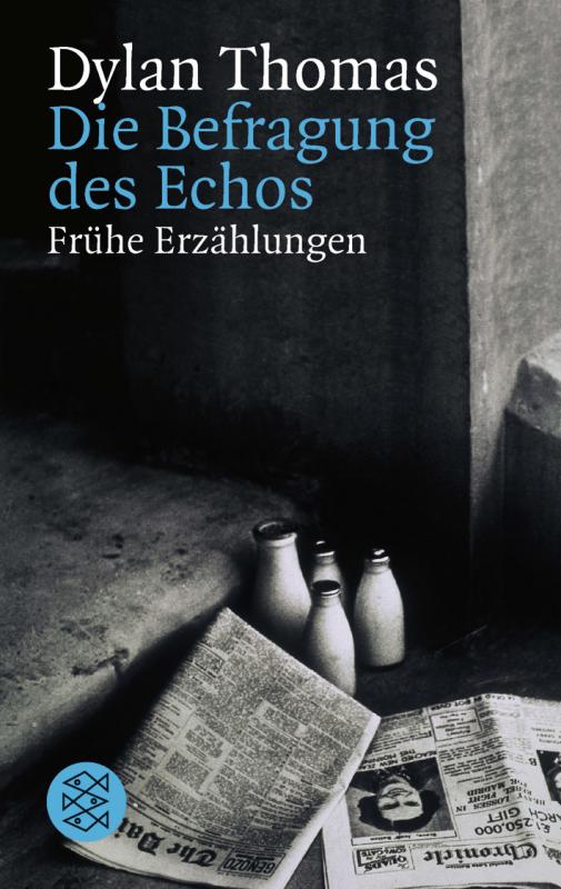 Cover-Bild Die Befragung des Echos