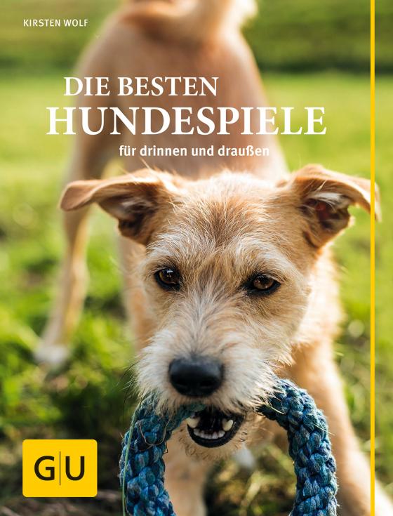 Cover-Bild Die besten Hundespiele