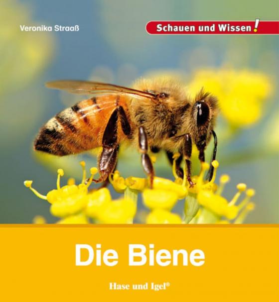 Cover-Bild Die Biene