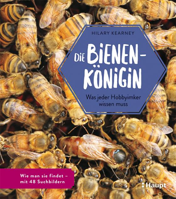 Die Bienenkonigin Lesejury