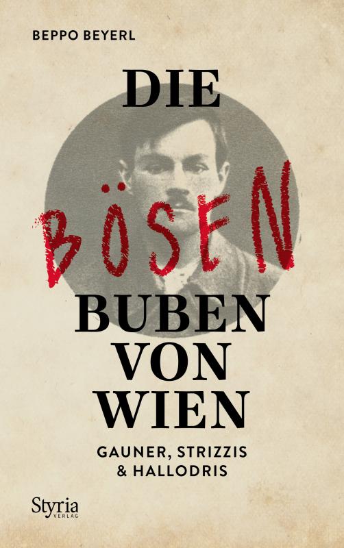 Cover-Bild Die bösen Buben von Wien