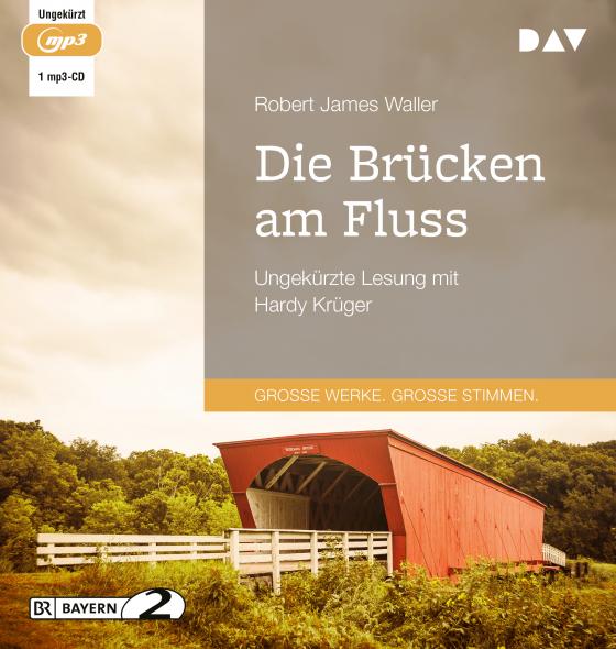 Cover-Bild Die Brücken am Fluss