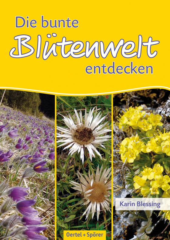 Cover-Bild Die bunte Blütenwelt entdecken