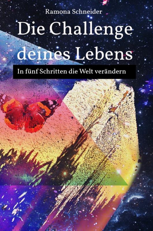 Cover-Bild Die Challenge deines Lebens