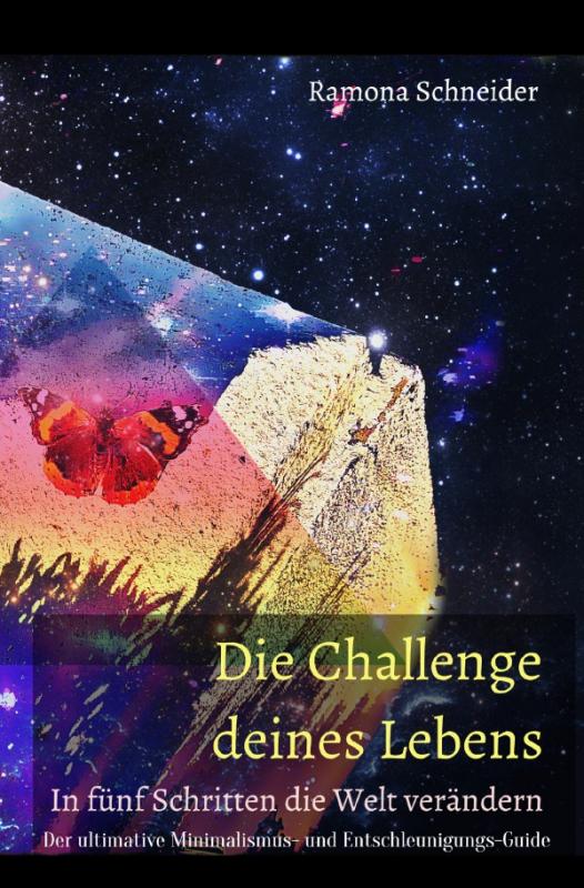 Cover-Bild Die Challenge deines Lebens