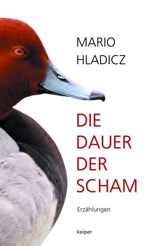 Cover-Bild Die Dauer der Scham