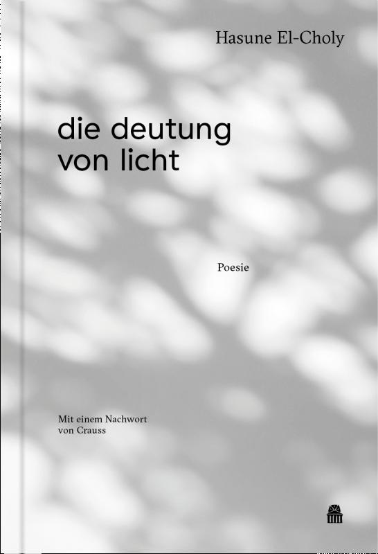 Cover-Bild die deutung von licht