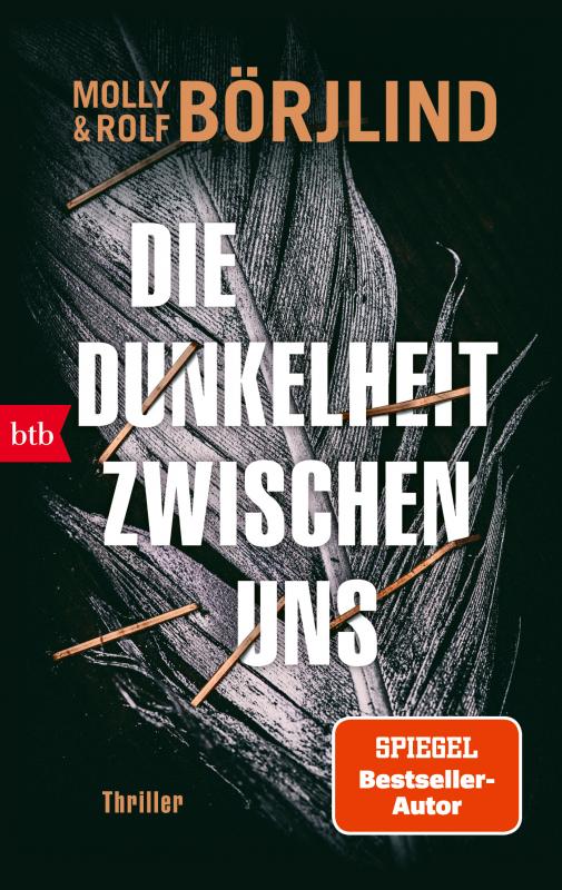 Cover-Bild Die Dunkelheit zwischen uns