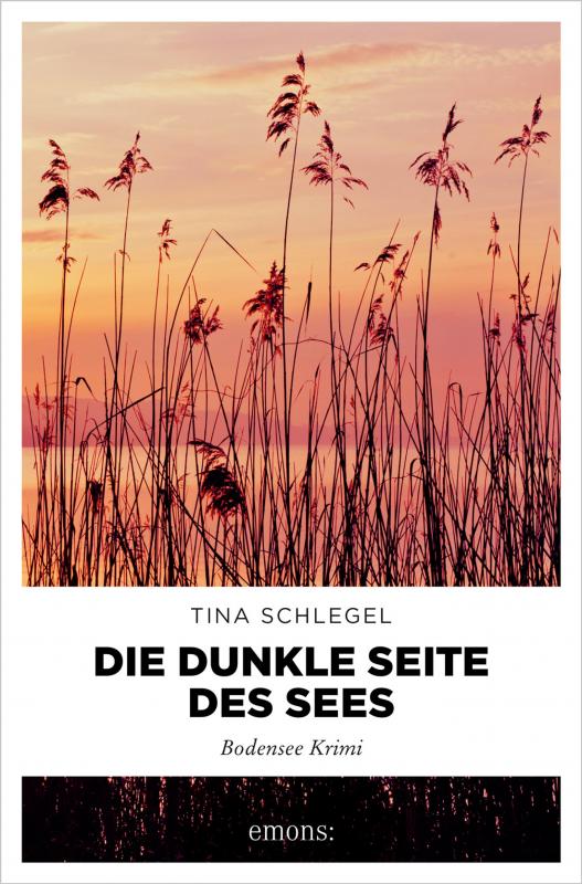 Cover-Bild Die dunkle Seite des Sees