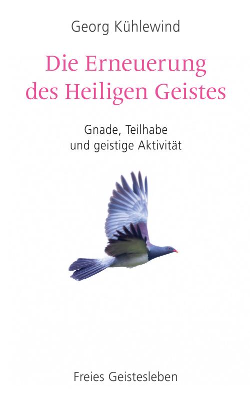 Cover-Bild Die Erneuerung des Heiligen Geistes