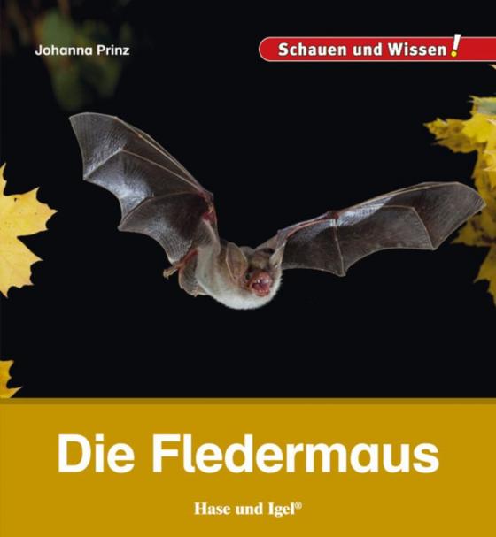 Cover-Bild Die Fledermaus