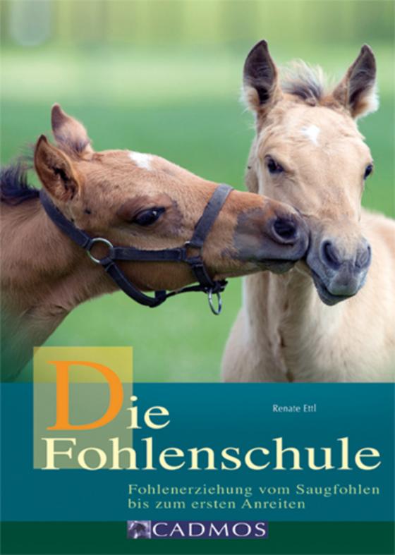 Cover-Bild Die Fohlenschule