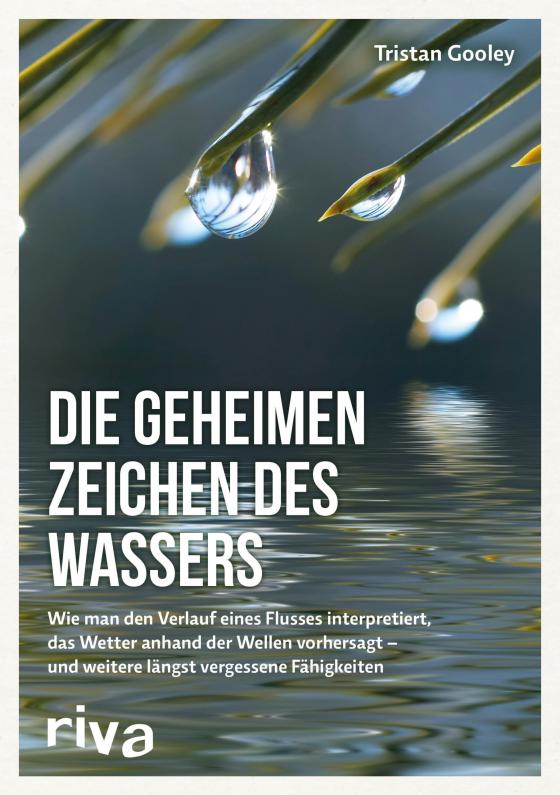 Cover-Bild Die geheimen Zeichen des Wassers