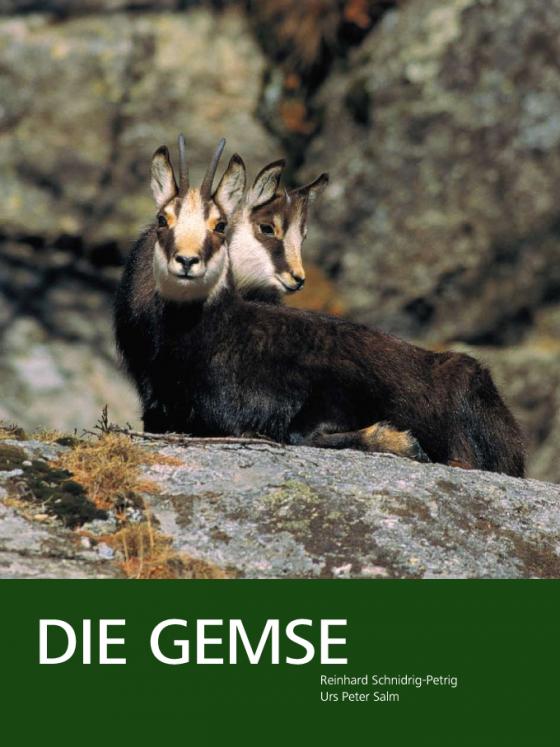 Cover-Bild Die Gemse – Biologie und Jagd