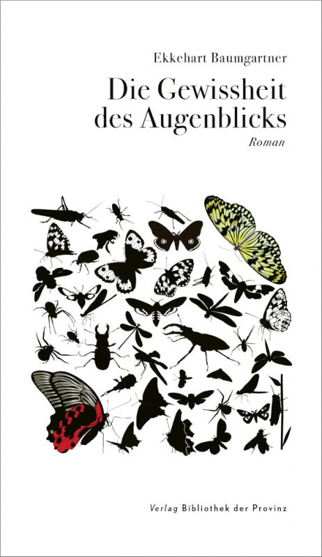 Cover-Bild Die Gewissheit des Augenblicks