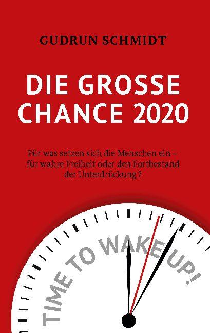 Cover-Bild Die große Chance 2020
