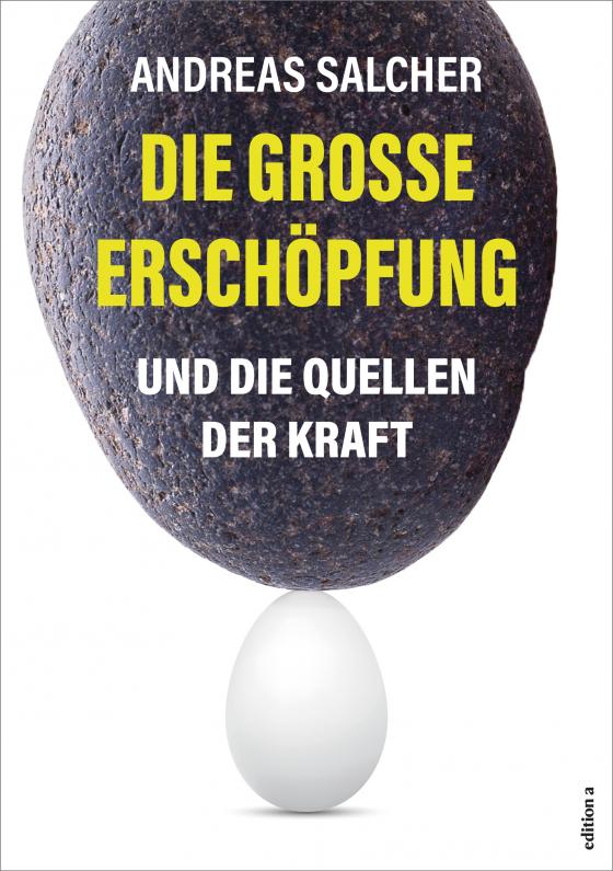 Cover-Bild Die große Erschöpfung