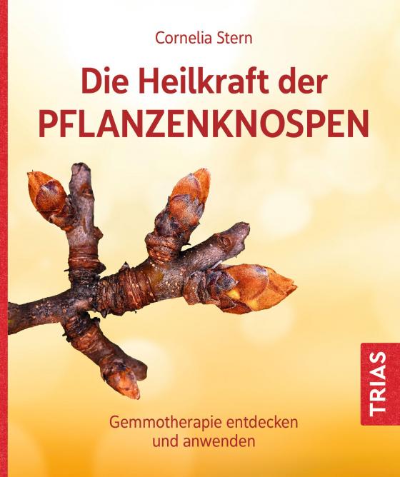 Cover-Bild Die Heilkraft der Pflanzenknospen