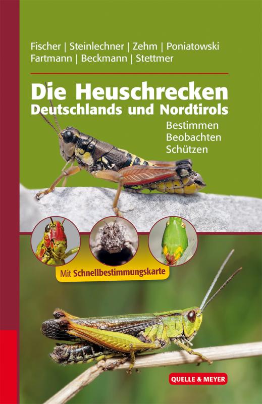 Cover-Bild Die Heuschrecken Deutschlands und Nordtirols