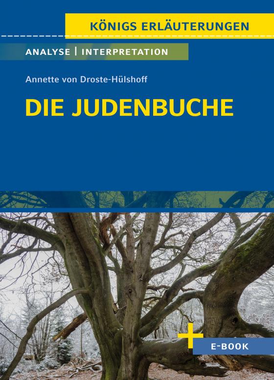 Cover-Bild Die Judenbuche von Annette von Droste-Hülshoff - Textanalyse und Interpretation