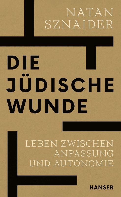 Cover-Bild Die jüdische Wunde