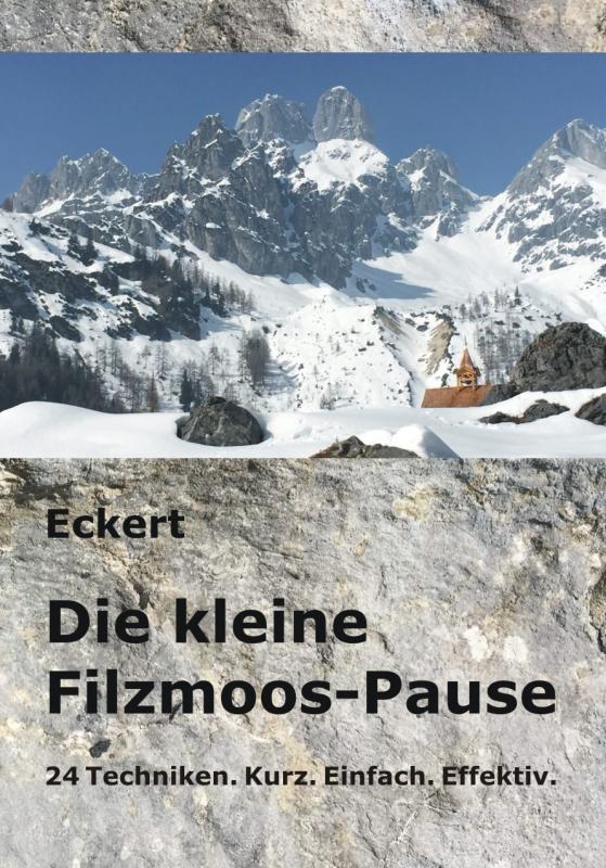 Cover-Bild Die kleine Filzmoos-Pause