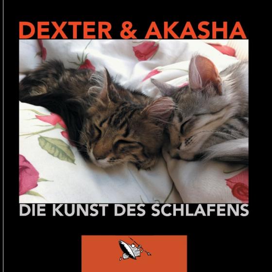 Cover-Bild Die Kunst des Schlafens