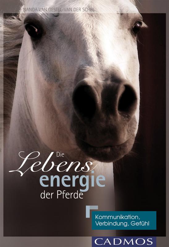 Cover-Bild Die Lebensenergie der Pferde