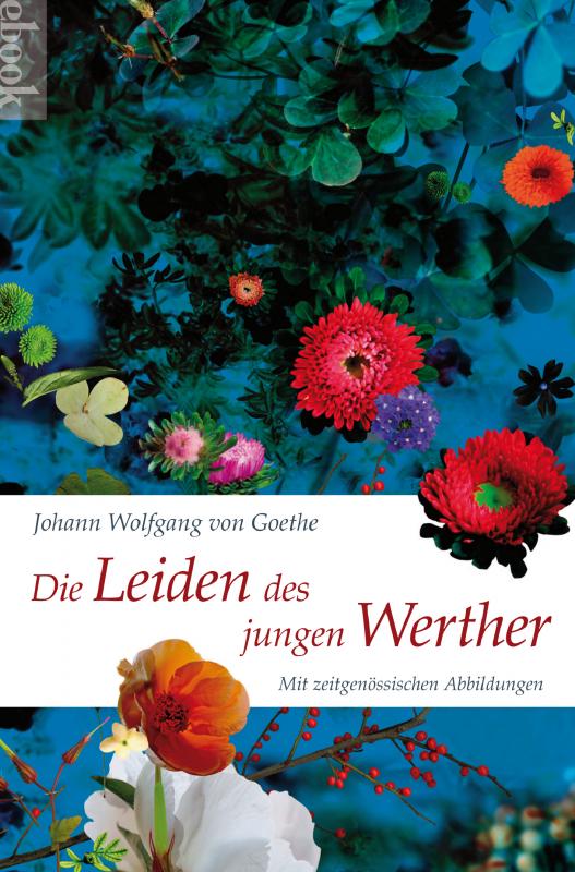 Cover-Bild Die Leiden des jungen Werther