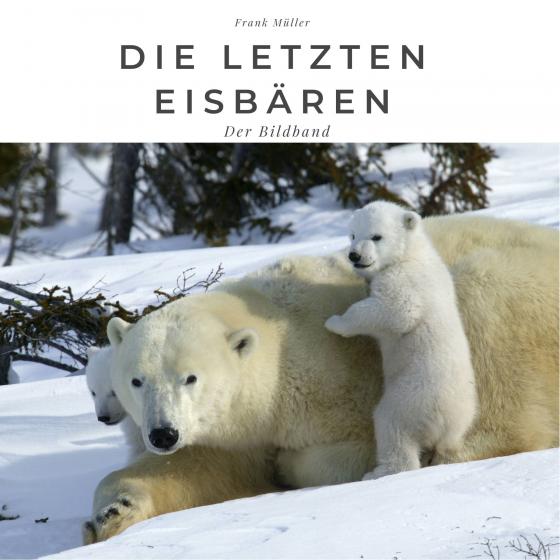 Cover-Bild Die letzten Eisbären