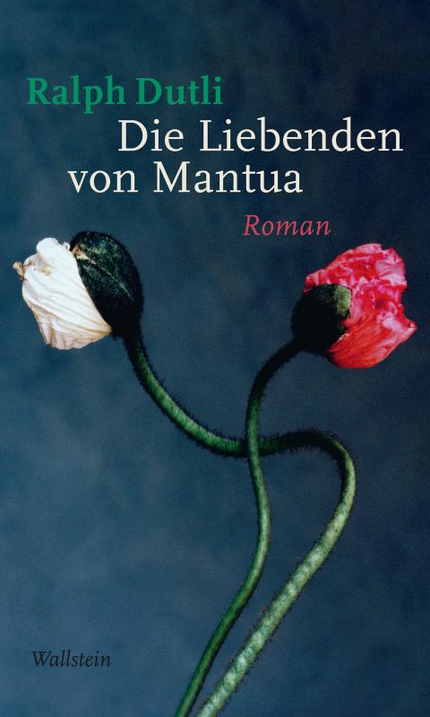 Cover-Bild Die Liebenden von Mantua