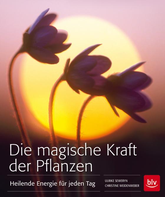 Cover-Bild Die magische Kraft der Pflanzen