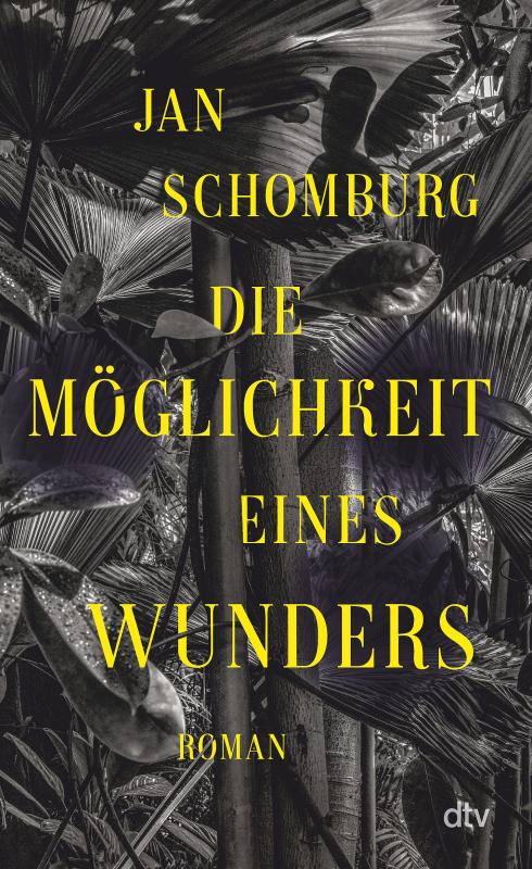 Cover-Bild Die Möglichkeit eines Wunders