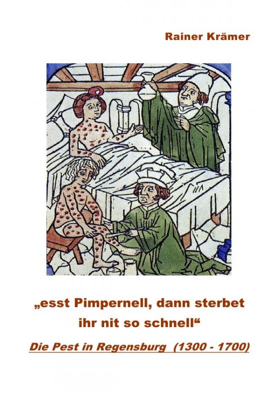 Cover-Bild Die Pest in Regensburg (1300 - 1700)