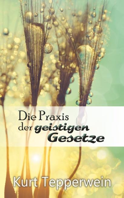 Cover-Bild Die Praxis der geistigen Gesetze