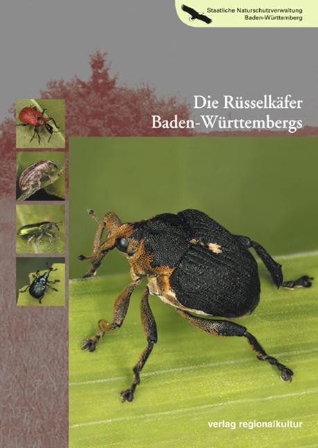 Cover-Bild Die Rüsselkäfer Baden-Württembergs