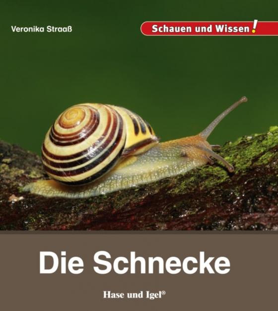 Cover-Bild Die Schnecke