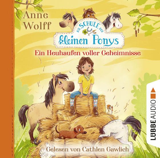 Cover-Bild Die Schule der kleinen Ponys - Ein Heuhaufen voller Geheimnisse