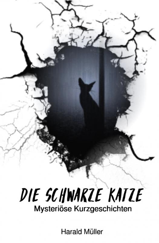 Cover-Bild Die schwarze Katze - Mysteriöse Kurzgeschichten