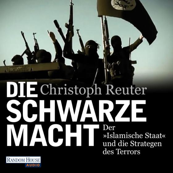 Cover-Bild Die schwarze Macht