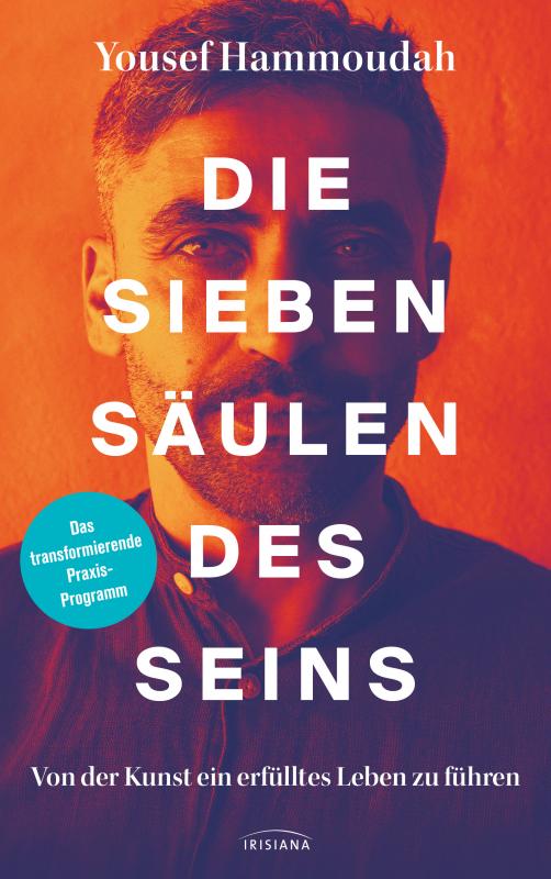 Cover-Bild Die Sieben Säulen des Seins