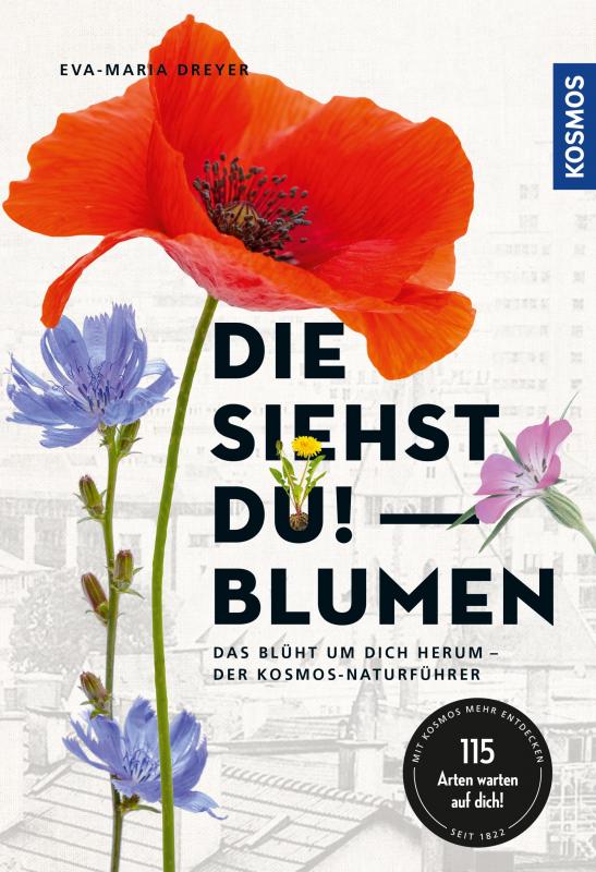 Cover-Bild Die siehst du - Blumen